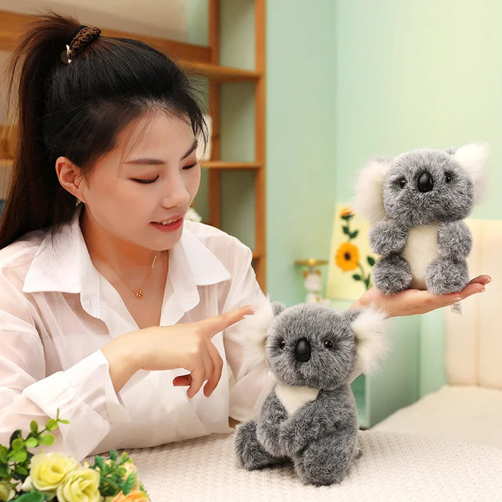 Australia Koala  Soft