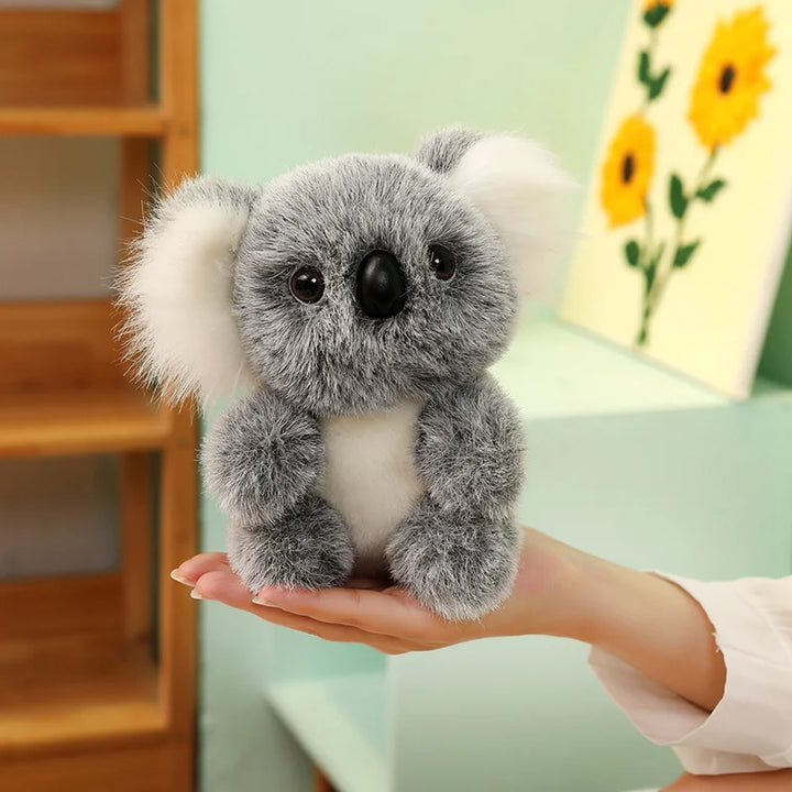 Australia Koala  Soft