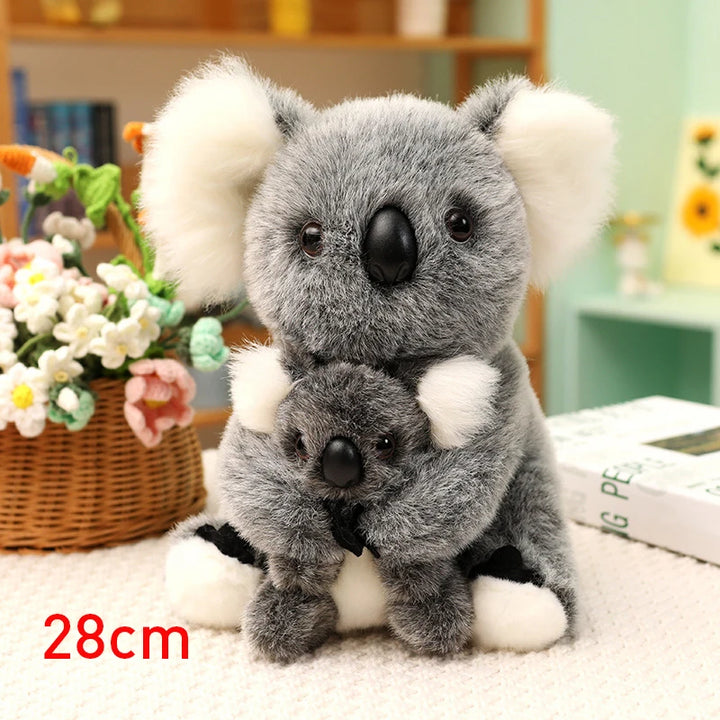 Australia Koala  Soft