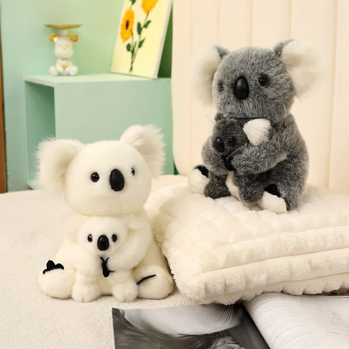 Australia Koala  Soft
