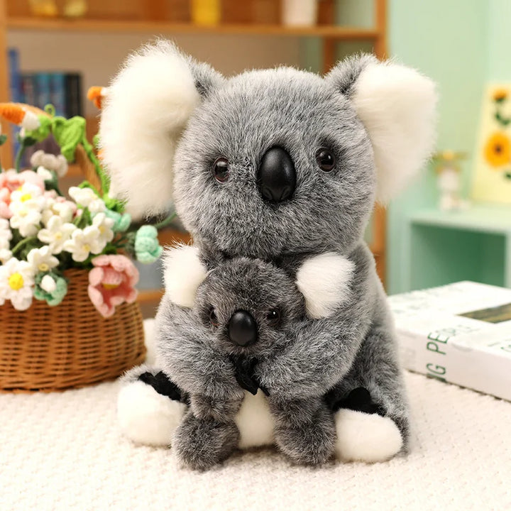 Australia Koala  Soft