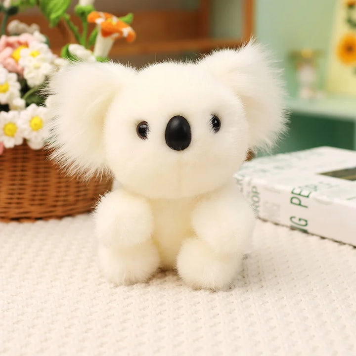 Australia Koala  Soft