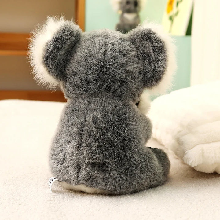 Australia Koala  Soft