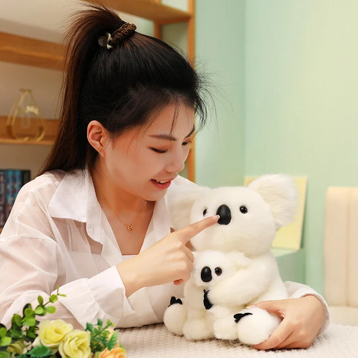 Australia Koala  Soft
