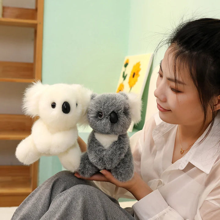 Australia Koala  Soft
