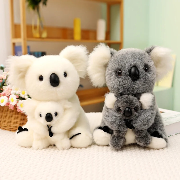 Australia Koala  Soft
