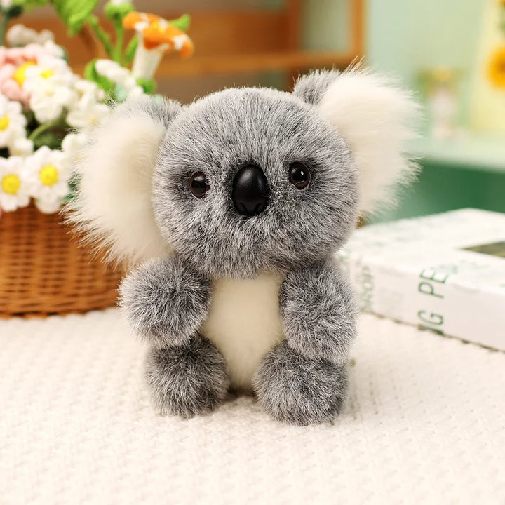 Australia Koala  Soft