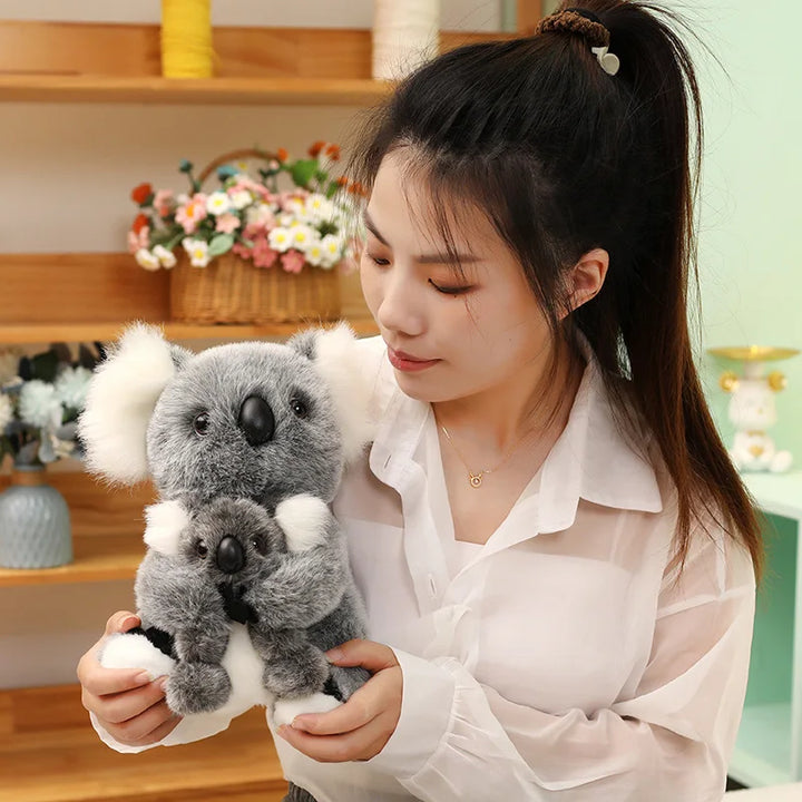 Australia Koala  Soft
