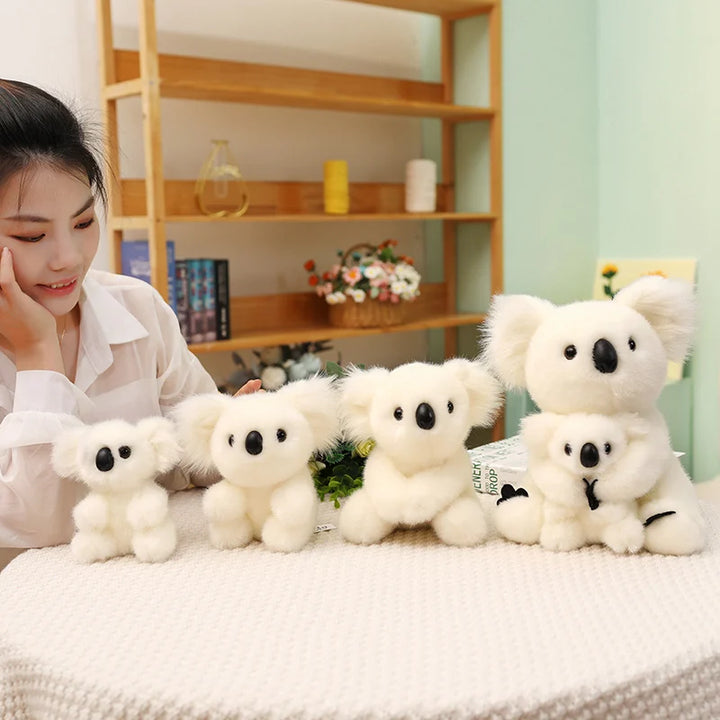Australia Koala  Soft