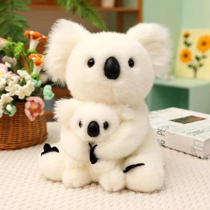 Australia Koala  Soft