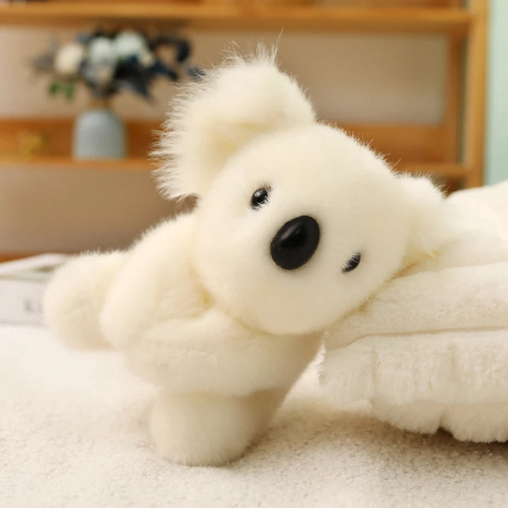Australia Koala  Soft