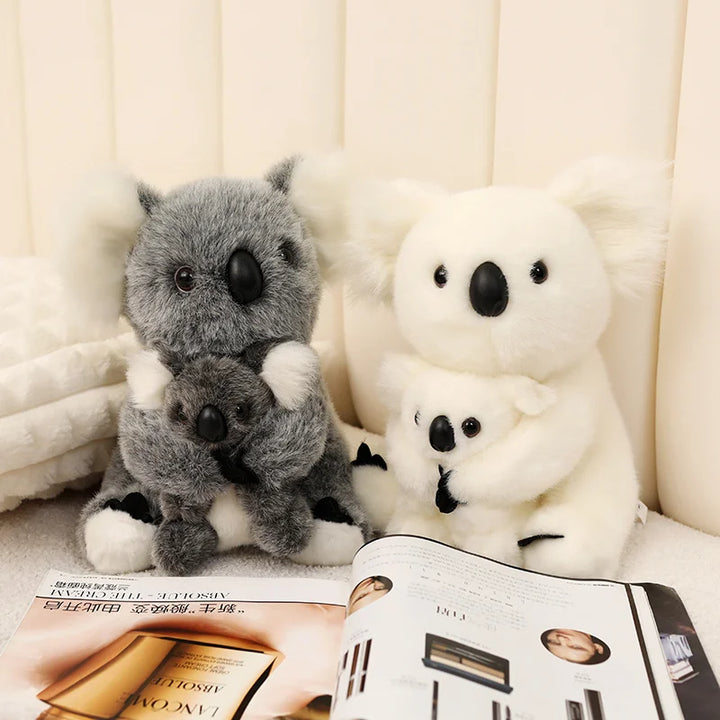 Australia Koala  Soft