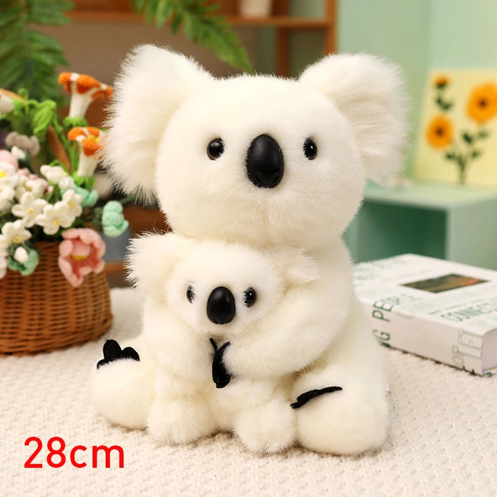 Australia Koala  Soft
