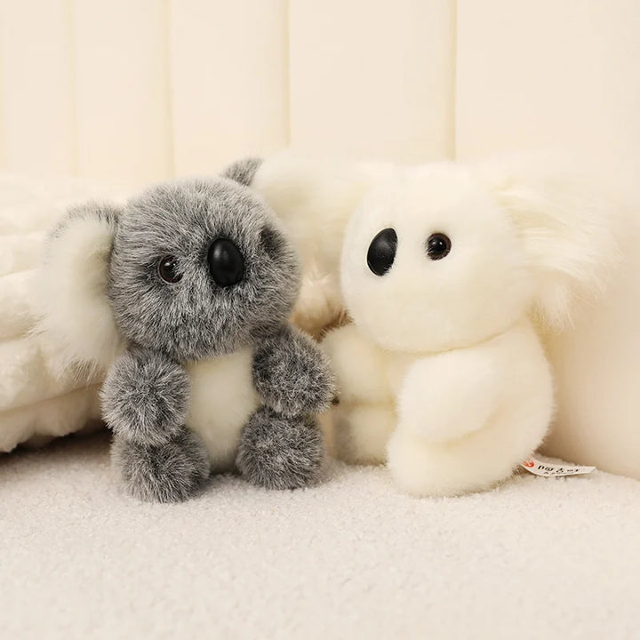 Australia Koala  Soft