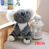 Australia Koala  Soft