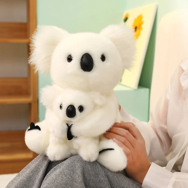 Australia Koala  Soft