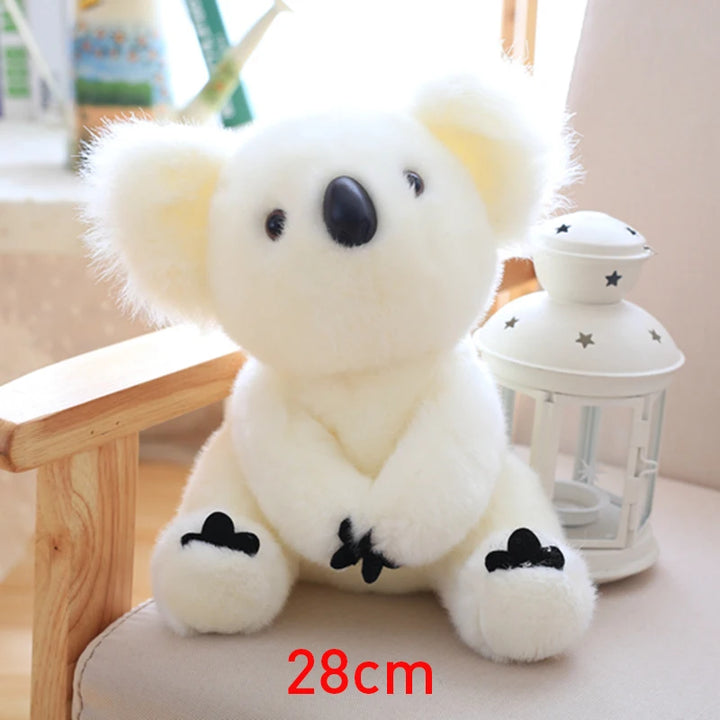 Australia Koala  Soft