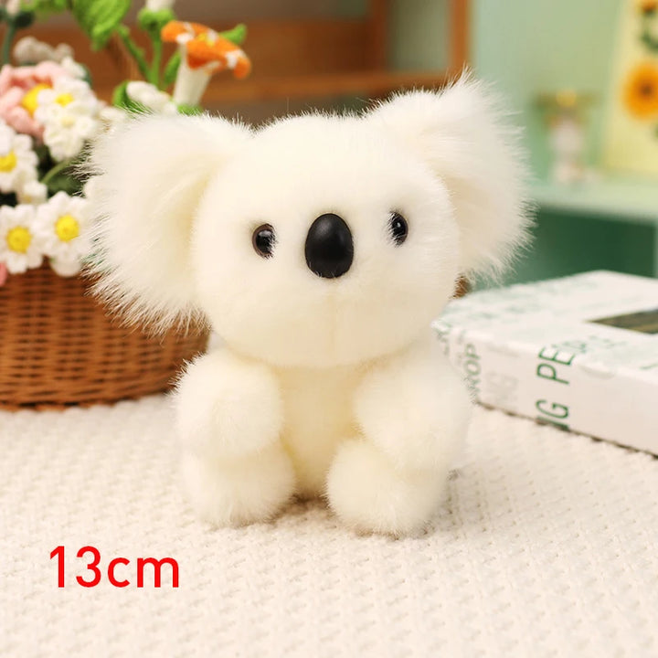 Australia Koala  Soft